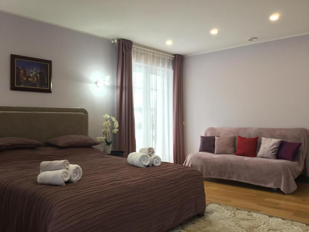 Radvi House Villa Druskininkai Dış mekan fotoğraf