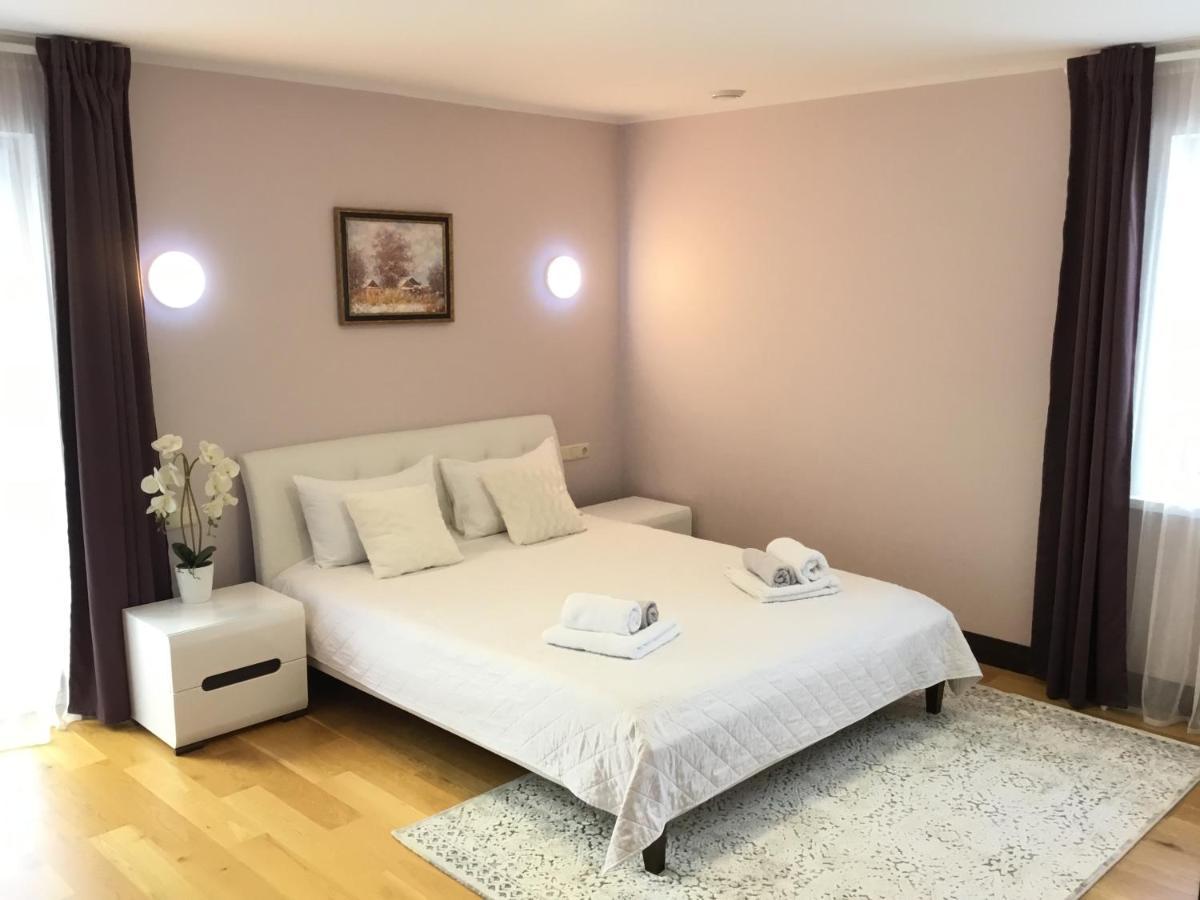 Radvi House Villa Druskininkai Dış mekan fotoğraf