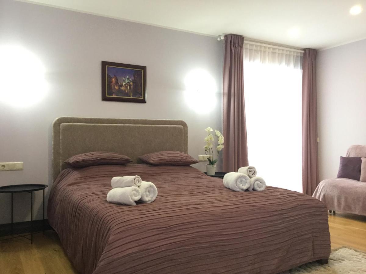 Radvi House Villa Druskininkai Dış mekan fotoğraf