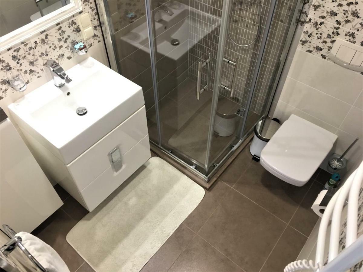 Radvi House Villa Druskininkai Dış mekan fotoğraf